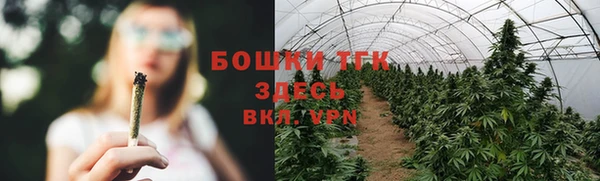 spice Медвежьегорск
