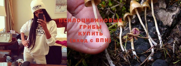 крисы Медногорск
