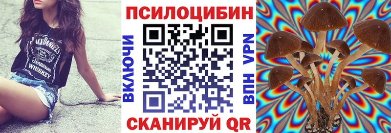 хочу наркоту  кракен как зайти  Галлюциногенные грибы Psilocybe  Петрозаводск 