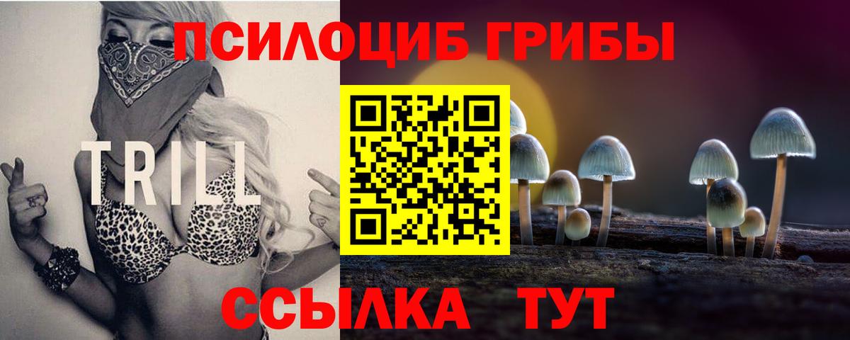 Галлюциногенные грибы мухоморы Петрозаводск