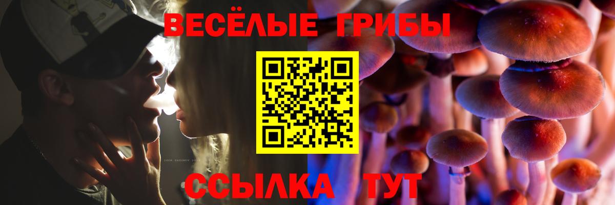 Петрозаводск  Псилоцибиновые грибы MAGIC MUSHROOMS  Вход с VPN 