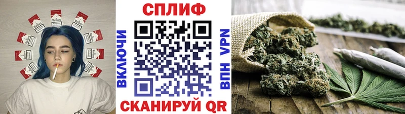 Бошки Шишки марихуана Петрозаводск